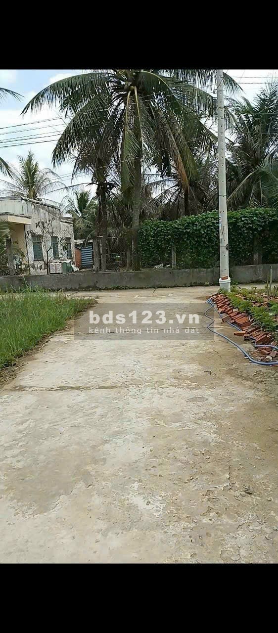 Cần Bán Đất full ODT GIÁ MỀM P. Phú Khương,Bến Tre 121,7m²…