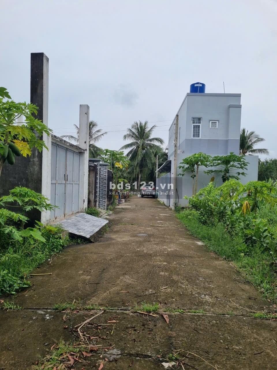 Cần Bán Đất full ODT GIÁ MỀM P. Phú Khương,Bến Tre 121,7m²…