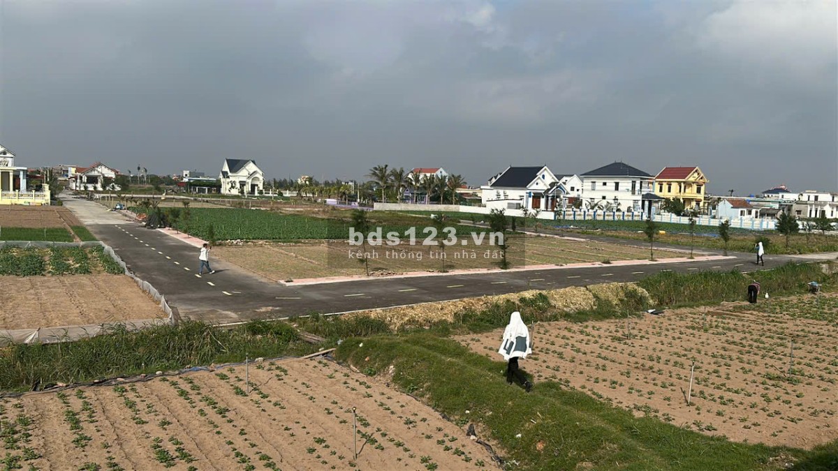 Bán đất mặt biển Quất Lâm, view biển bãi tắm 1