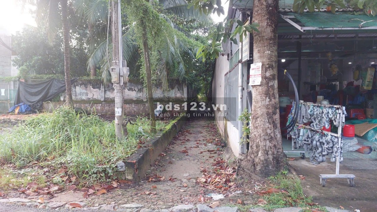 Bán Gần 140m² Đất Chuyển full Thổ Giá Đầu Tư