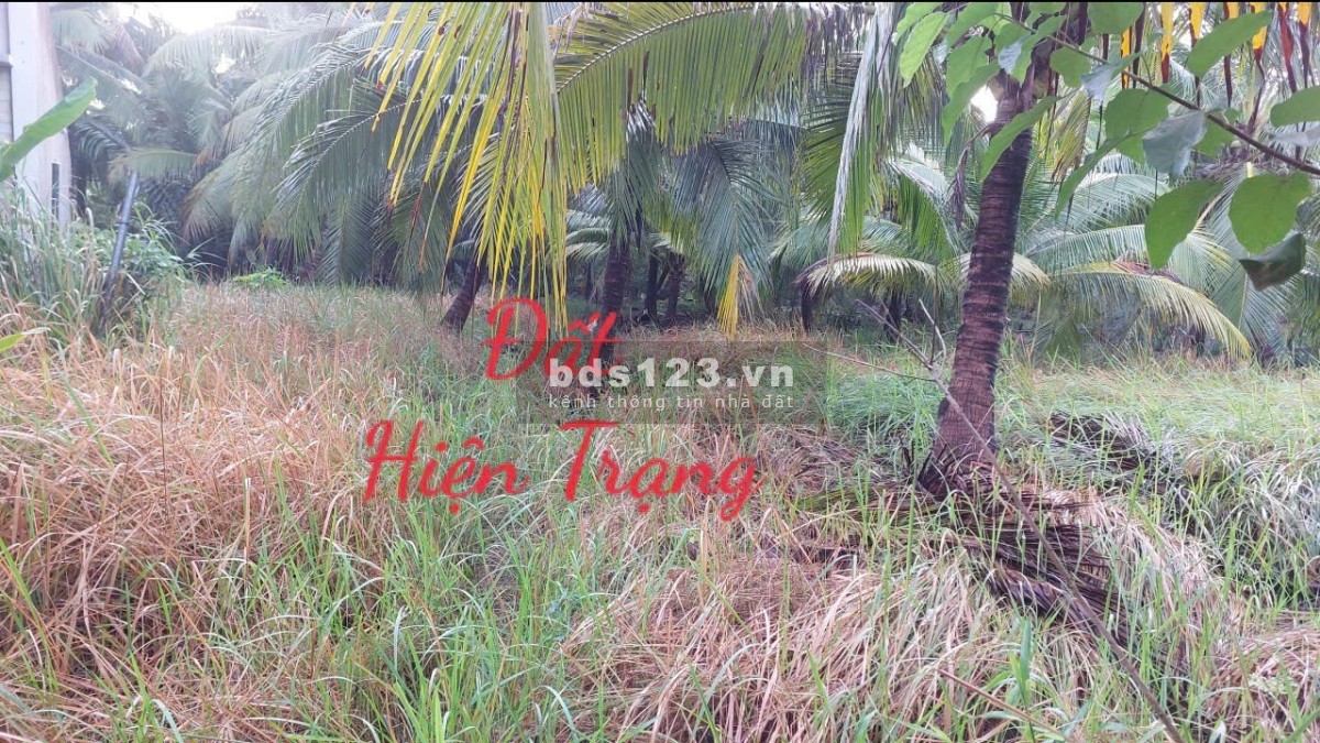 Bán Gần 140m² Đất Chuyển full Thổ Giá Đầu Tư