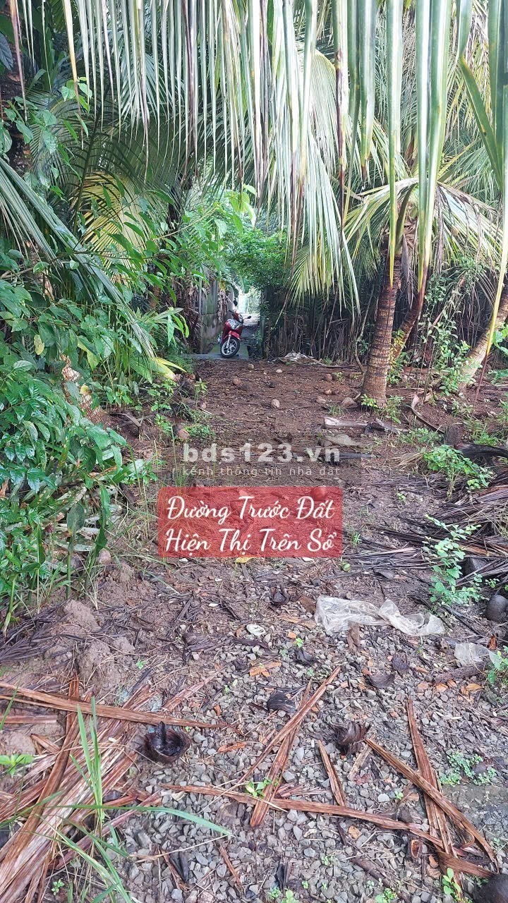 Bán Gần 140m² Đất Chuyển full Thổ Giá Đầu Tư