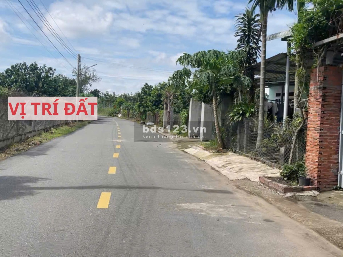 Đất mặt tiền đường nhựa có sẵn vườn bưởi tại Trừ Văn Thố Bàu Bàng Bình Dương