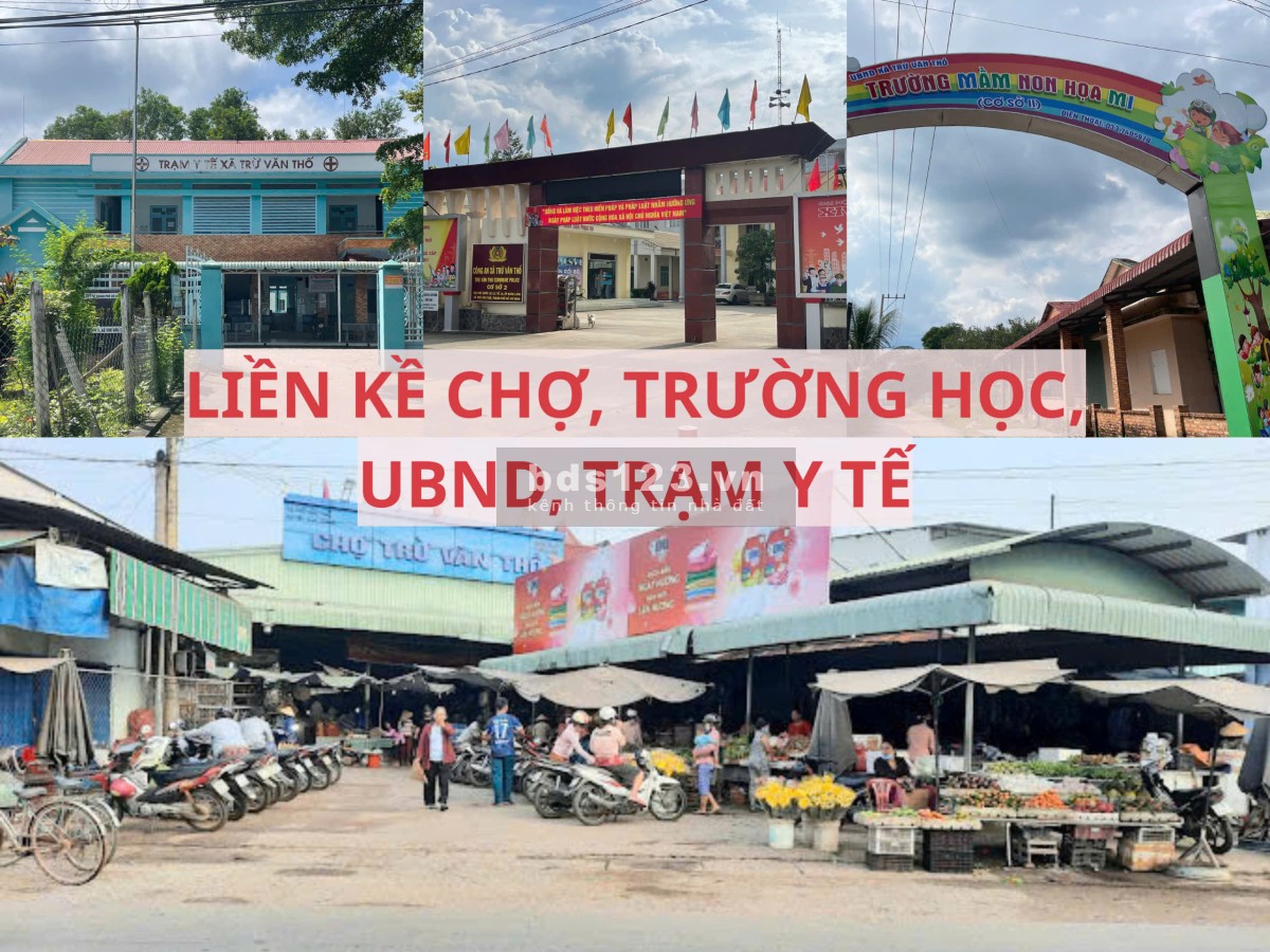 Đất mặt tiền đường nhựa có sẵn vườn bưởi tại Trừ Văn Thố Bàu Bàng Bình Dương