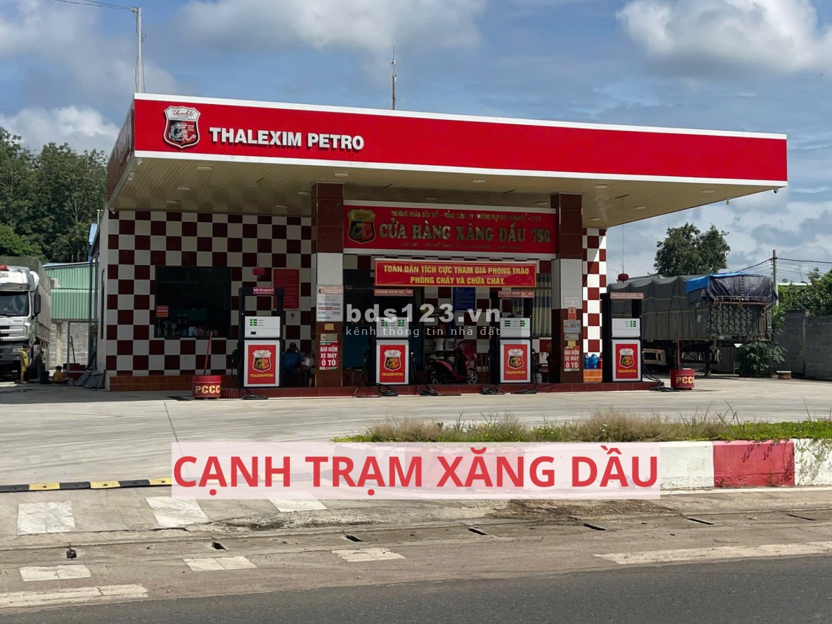 Đất mặt tiền đường nhựa có sẵn vườn bưởi tại Trừ Văn Thố Bàu Bàng Bình Dương