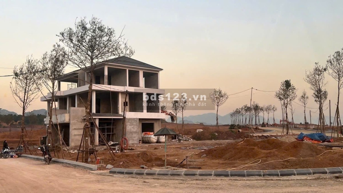  Thế Lực Nào Đang Làm Chao Đảo Thị Trường BDS Đầu Năm 2026