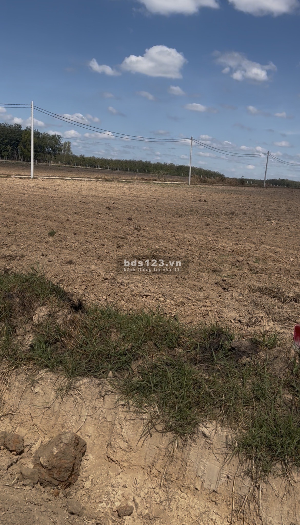 Bán đất mặt tiền đường nhựa ĐH715 Dầu Tiếng, Bình Dương