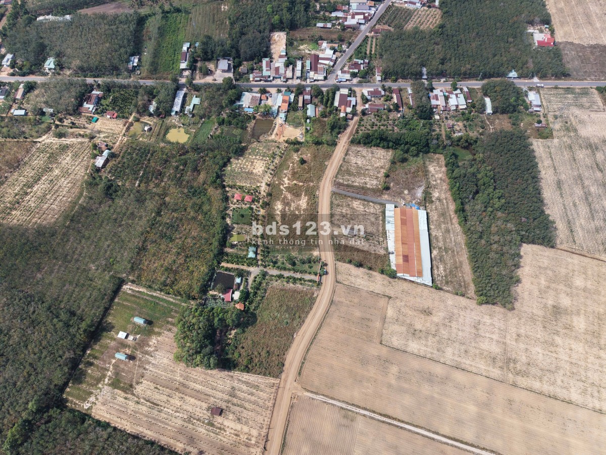 Bán đất mặt tiền đường nhựa ĐH715 Dầu Tiếng, Bình Dương