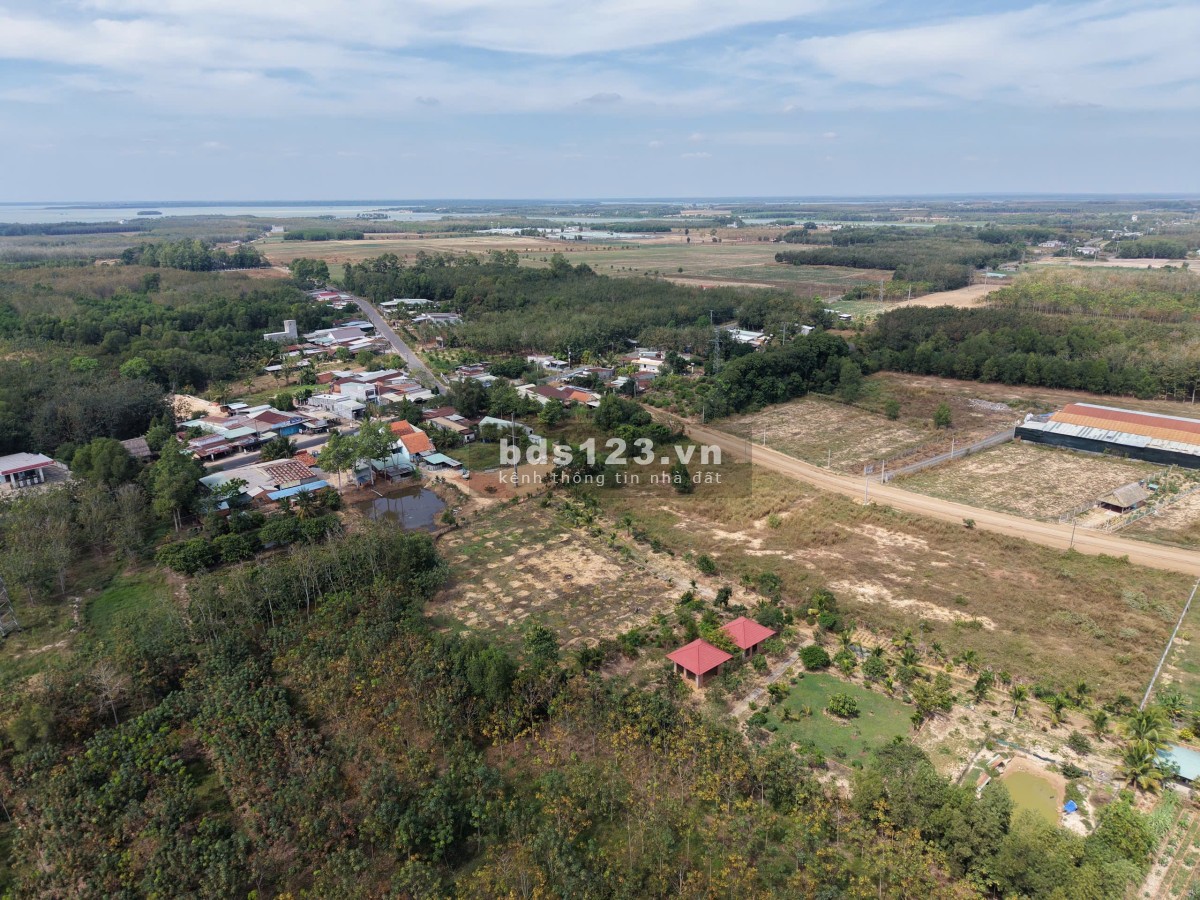 Bán đất mặt tiền đường nhựa ĐH715 Dầu Tiếng, Bình Dương