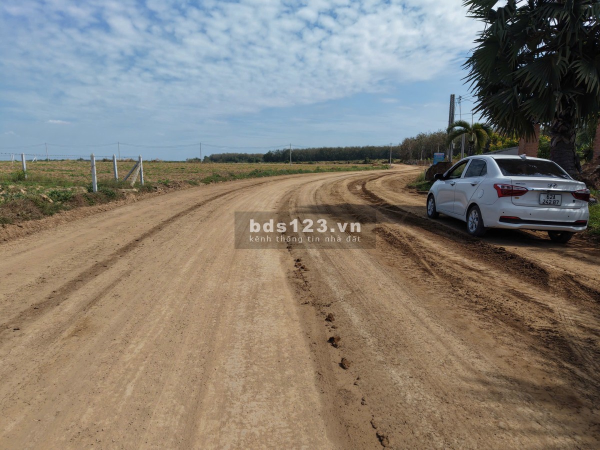 Bán đất mặt tiền đường nhựa ĐH715 Dầu Tiếng, Bình Dương