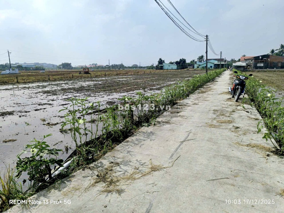 Cần bán đất bình tịnh Tân Tru Long An Dt:5x24=118m² ONtDân…