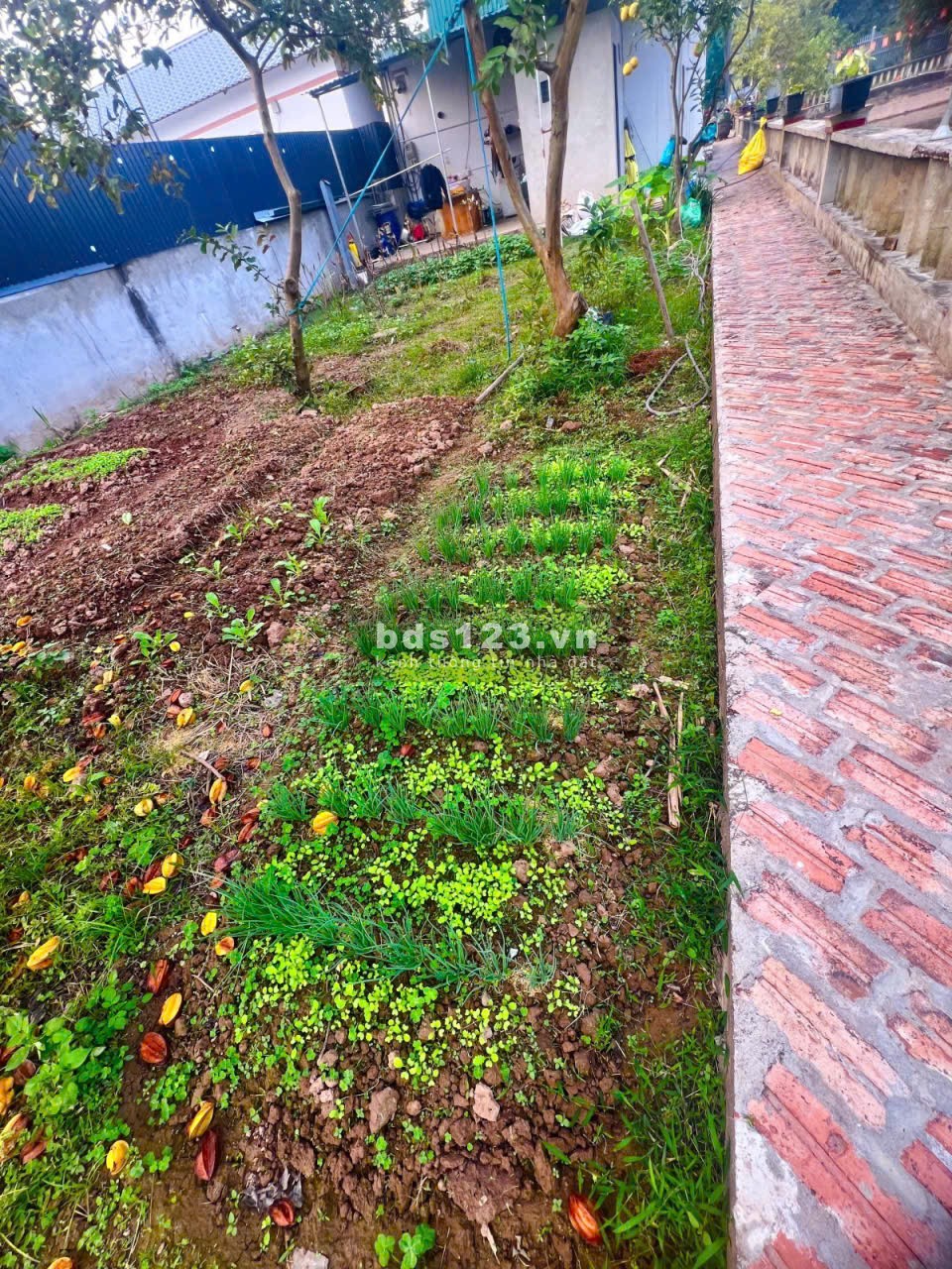 Bán Đất Thường Tín - Hà Nội - 1381m2 full thổ cư - Pháp lý…