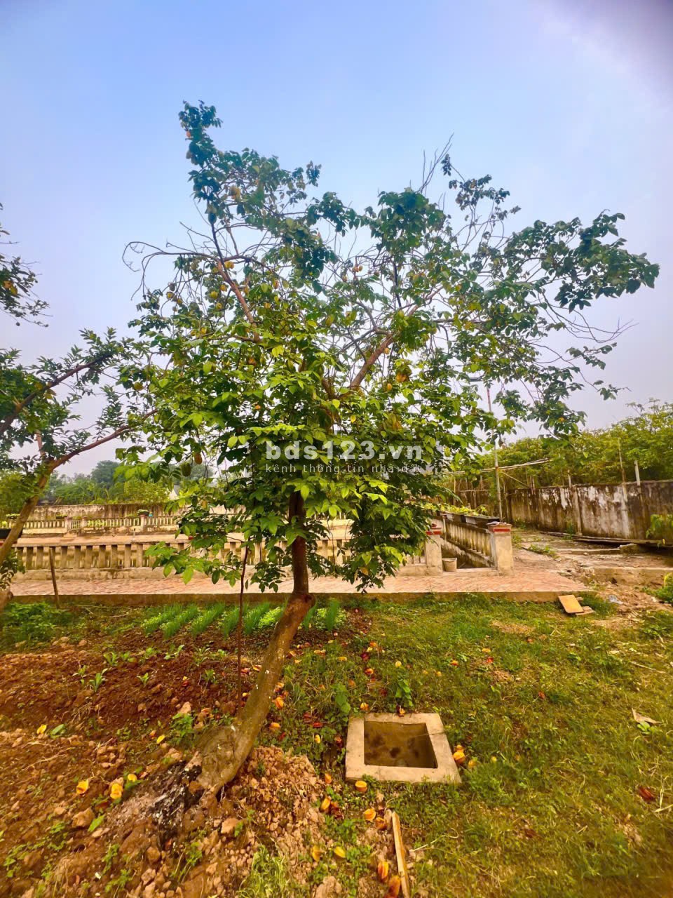 Bán Đất Thường Tín - Hà Nội - 1381m2 full thổ cư - Pháp lý…