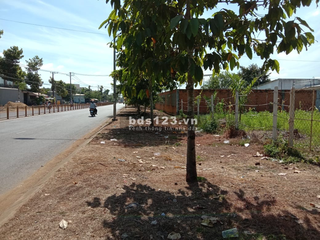 Cho thuê mặt tiền kinh doanh Hồ Thị Hương, sát nhà hàng…