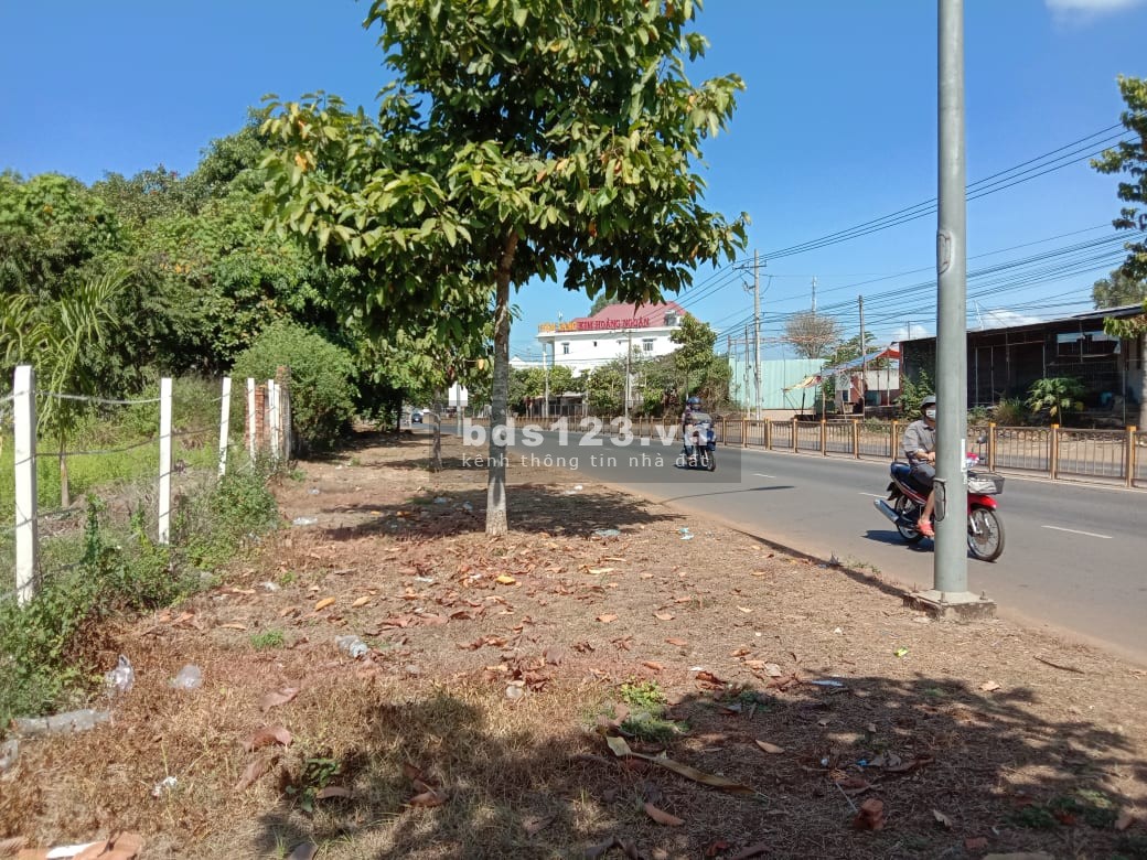 Cho thuê mặt tiền kinh doanh Hồ Thị Hương, sát nhà hàng…