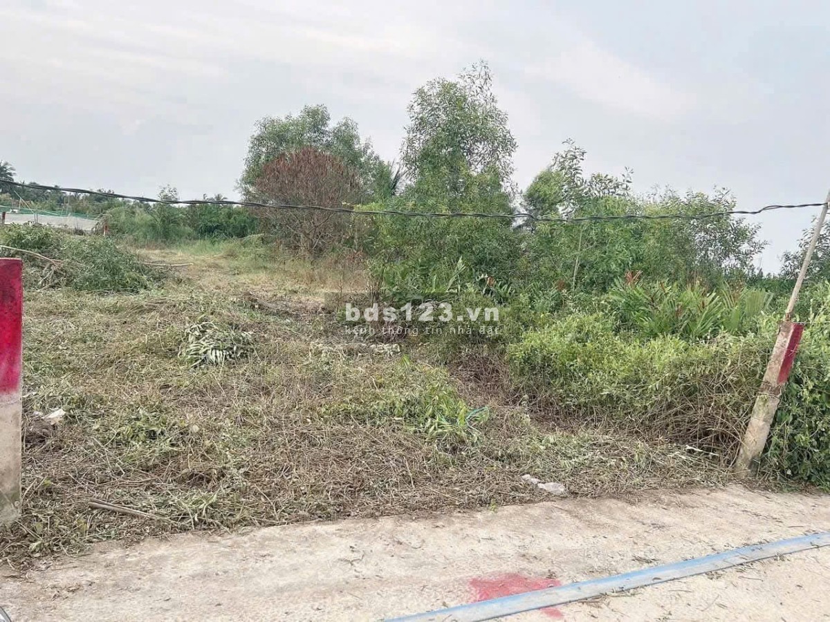 234m² ONT Giá Mềm   
 Đức Tân-Tân Trụ-Long An( Cũ )