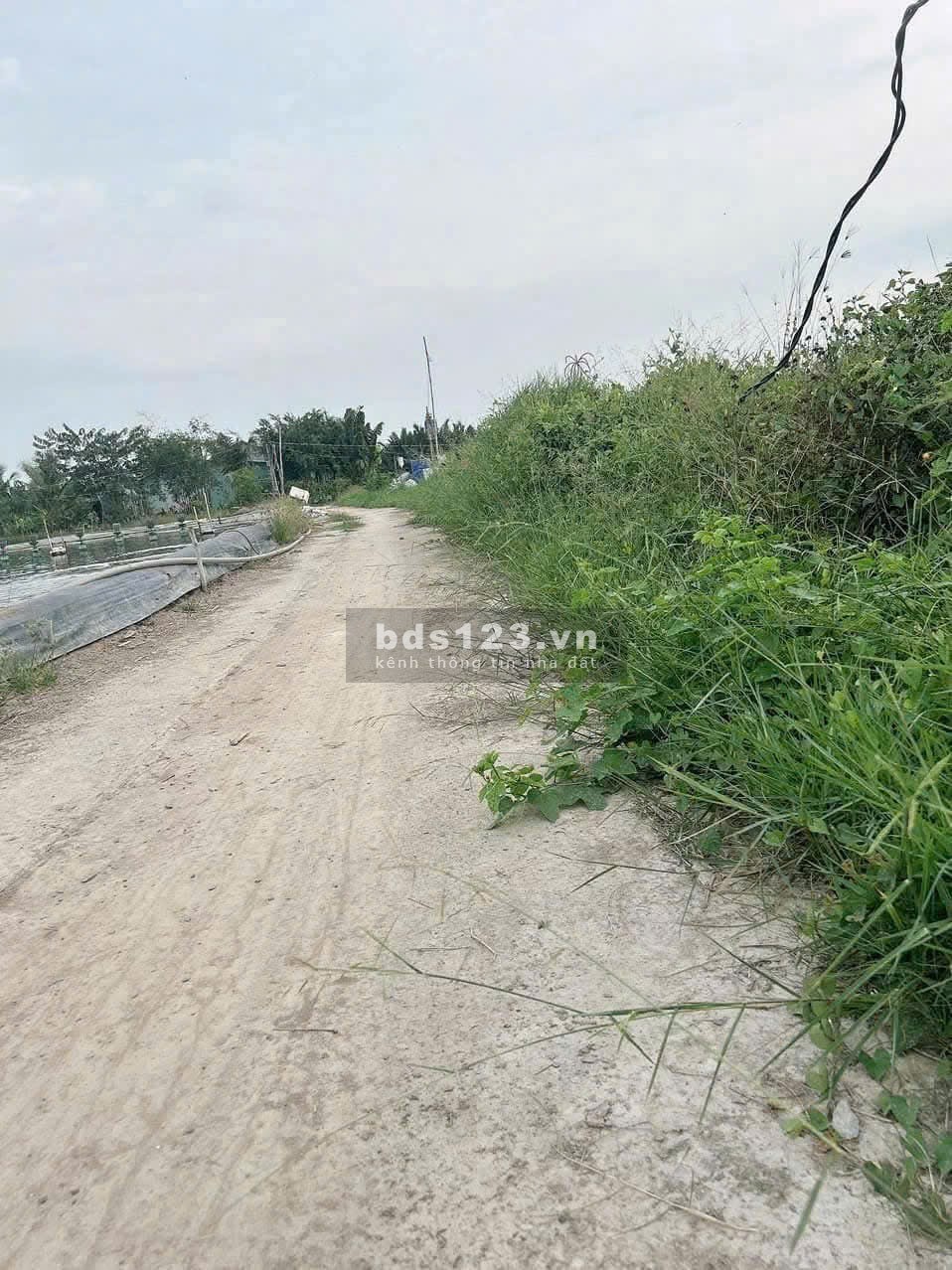 234m² ONT Giá Mềm   
 Đức Tân-Tân Trụ-Long An( Cũ )