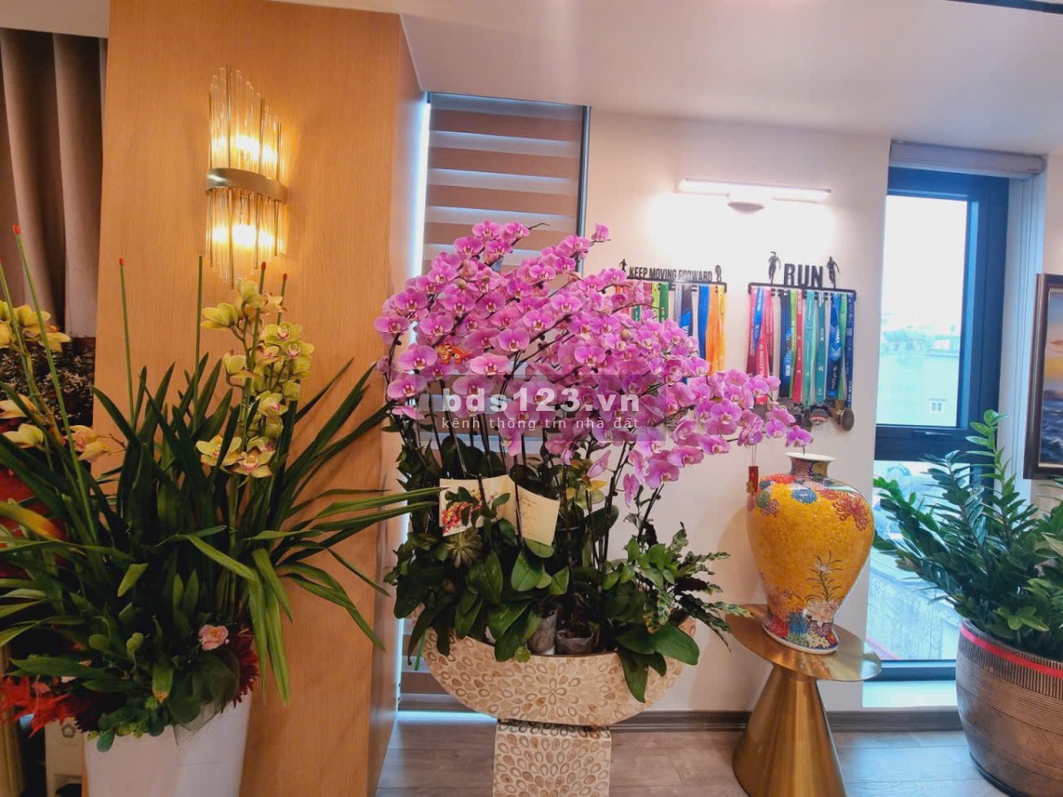 Bán Tòa Nhà Thương Mại – Trường Chinh – 110 m2 – 9 Tầng…