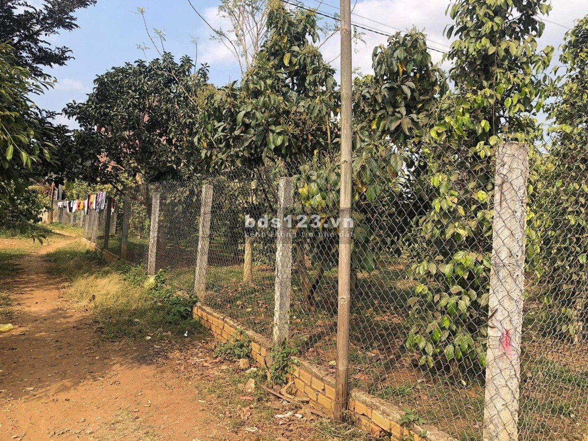 Bán đất mặt tiền 2266m2, gần Tỉnh lộ 725, Xã Đạ Đờn, h.…