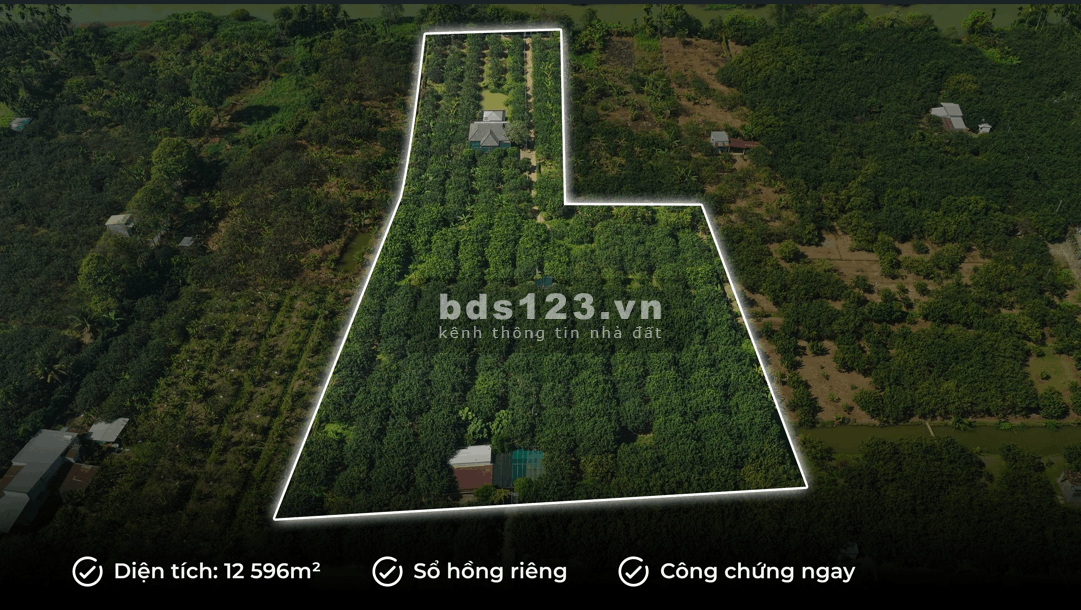 [CHÍNH CHỦ] Tìm người có duyên với mảnh vườn gần 1.3…