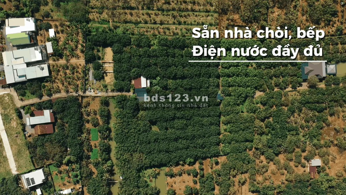 [CHÍNH CHỦ] Tìm người có duyên với mảnh vườn gần 1.3…