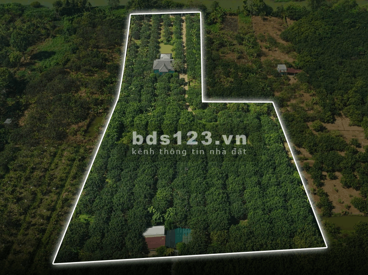 [CHÍNH CHỦ] Tìm người có duyên với mảnh vườn gần 1.3…