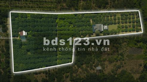 [CHÍNH CHỦ] Tìm người có duyên với mảnh vườn gần 1.3…