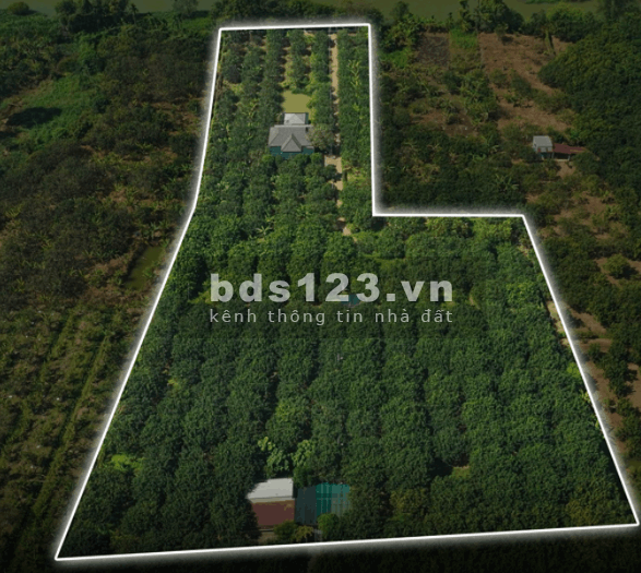 [CHÍNH CHỦ] Tìm người có duyên với mảnh vườn gần 1.3…