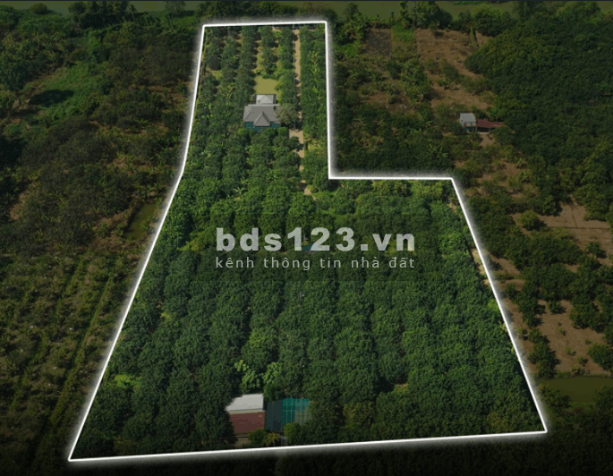 [CHÍNH CHỦ] Tìm người có duyên với mảnh vườn gần 1.3…