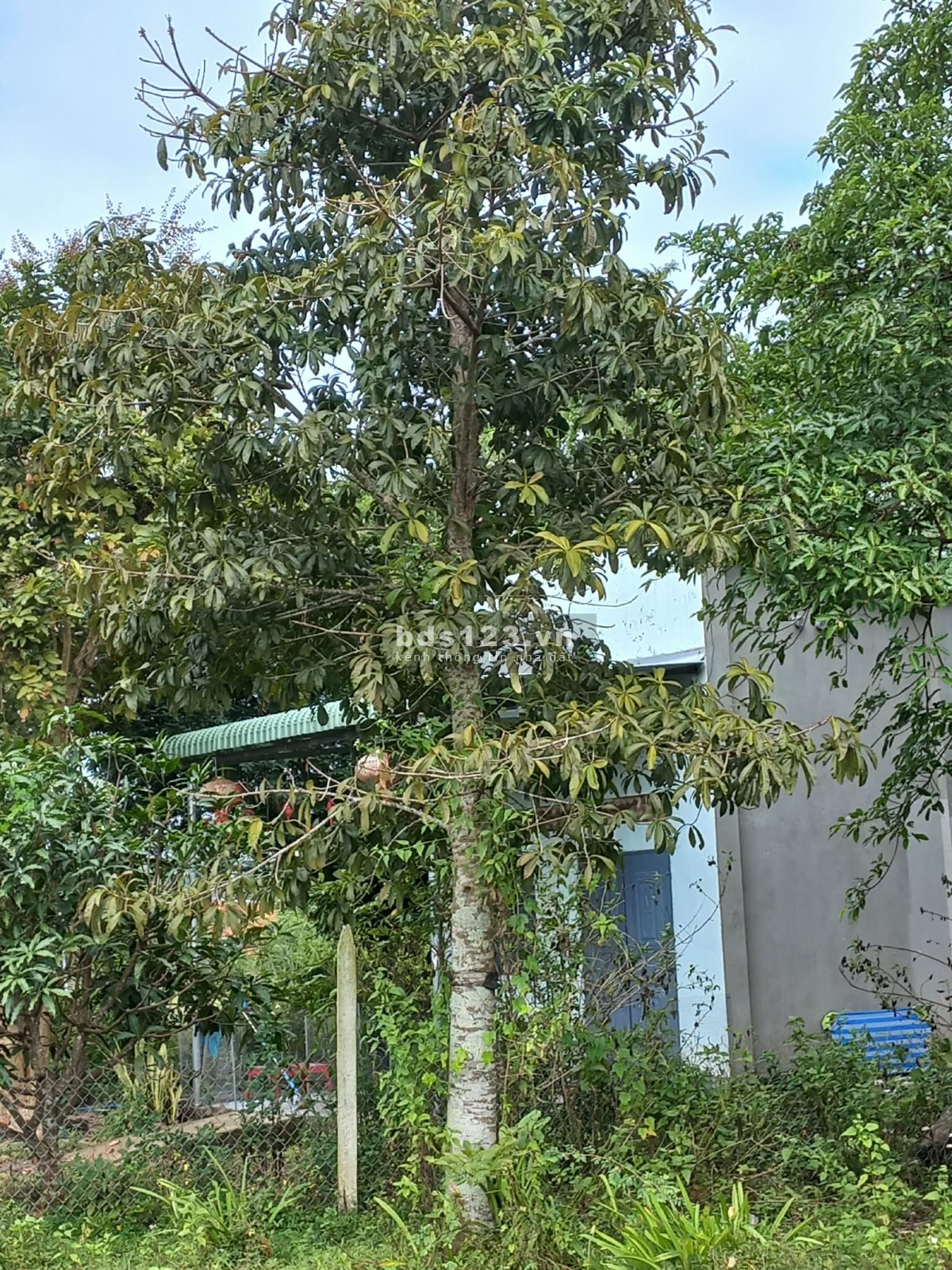 1 sào phường Bầu Trâm - Long Khánh, sổ riêng, khu dân cư, đường xe hơi.