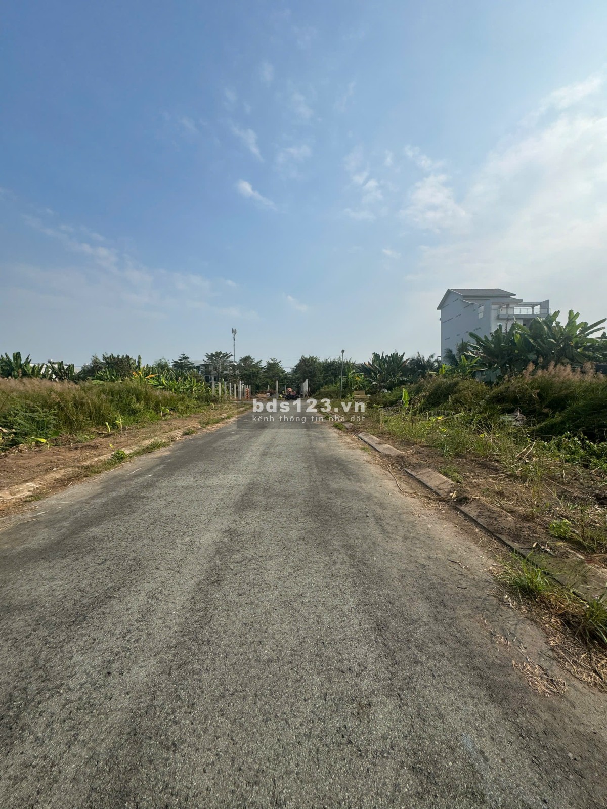 Chuyên bán đất nền dự án Sở Văn Hóa, P. Phú Hữu, TP. Thủ…