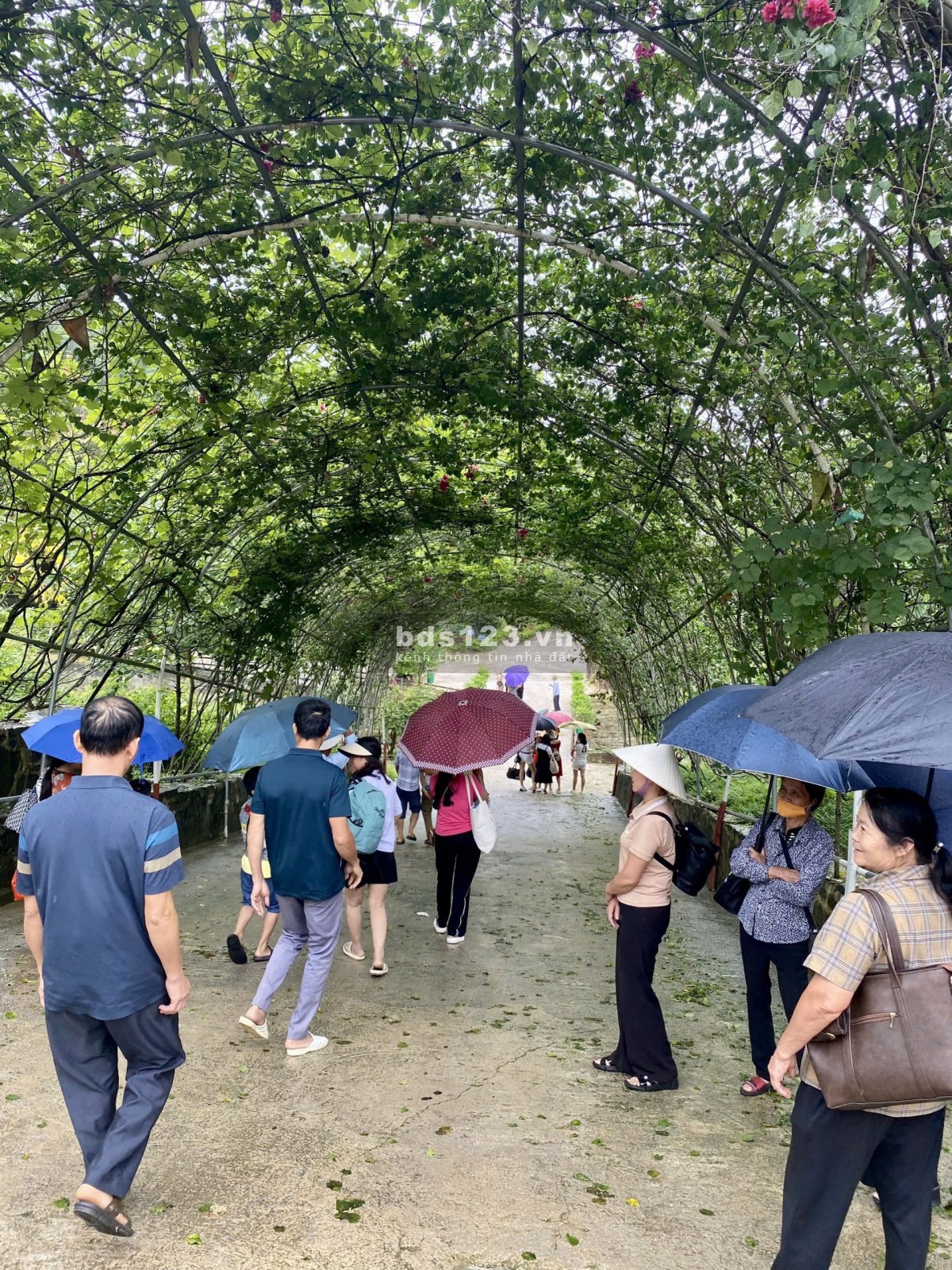 Chào bán đất phân lô 300m2 khu du lịch thác suối tiên Bình Gia…