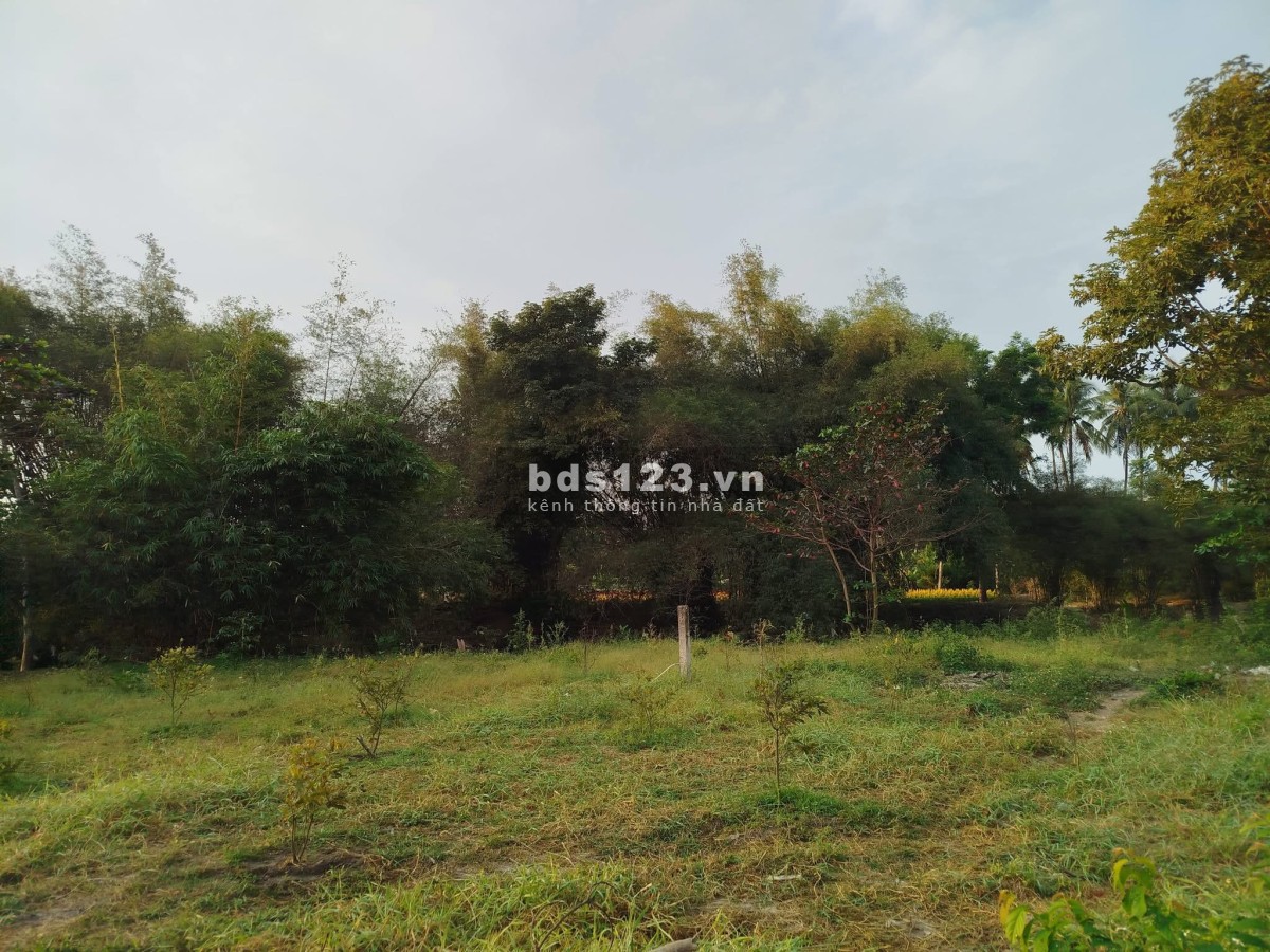 Cho thuê homestay mini Tiến Lợi Phan Thiết cũ