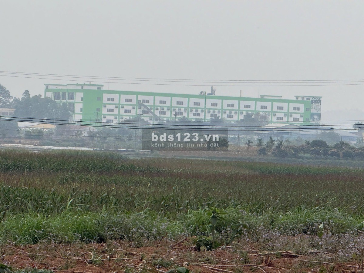 Đất Thanh Thuỷ, Phú Thọ giá 1,65tỷ