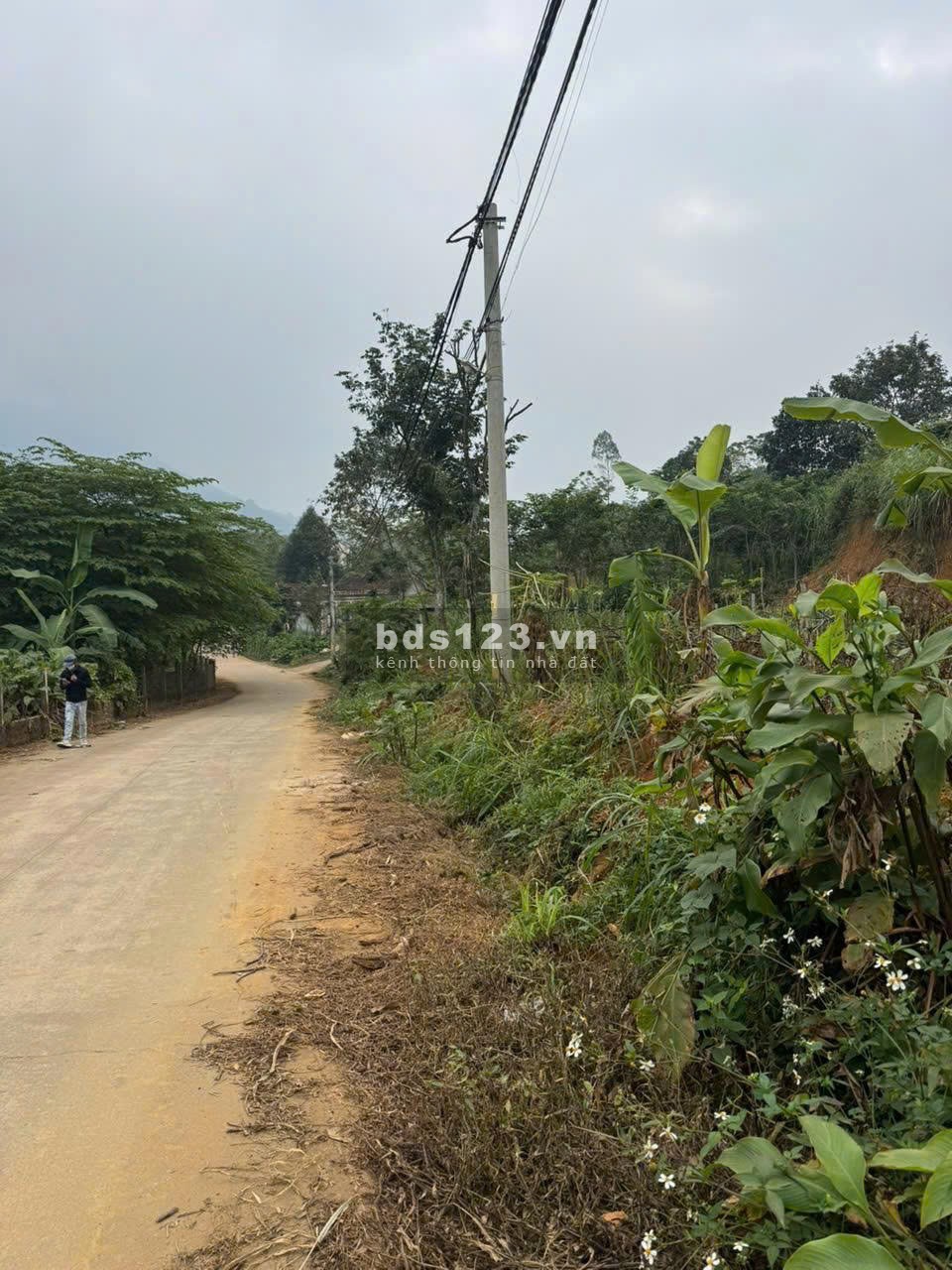 Bán đất sổ đỏ ở Minh Quang, Ba Vì, Hà Nội diện tích 1080m2…