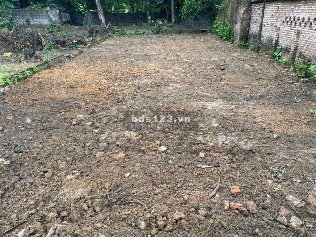 Đất Thuỵ An, Ba Vì, Hà Nội cơ hội hấp dẫn cho nhà đầu tư