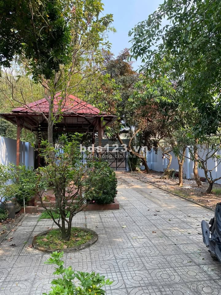 Cho thuê nhà sân vườn 4PN, 478m² tại Tân Hiệp, Hóc Môn