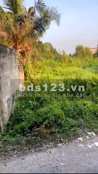 Bán đất mặt tiền đường 177, Bình Mỹ, Củ Chi, TP.HCM -…