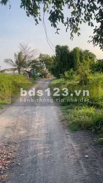 Bán đất mặt tiền đường 177, Bình Mỹ, Củ Chi, TP.HCM -…