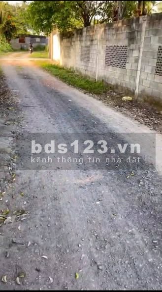 Bán đất mặt tiền đường 177, Bình Mỹ, Củ Chi, TP.HCM -…