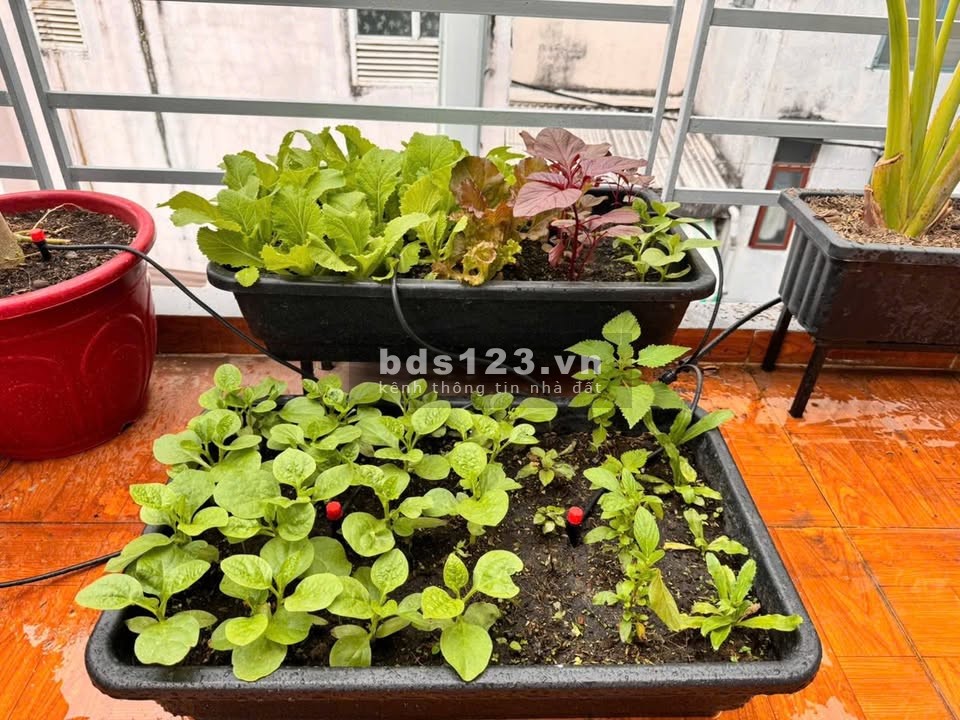 Nhà nguyên căn 75m2 cuối Pasteur Q.3, full nội thất, 16 triệu/tháng