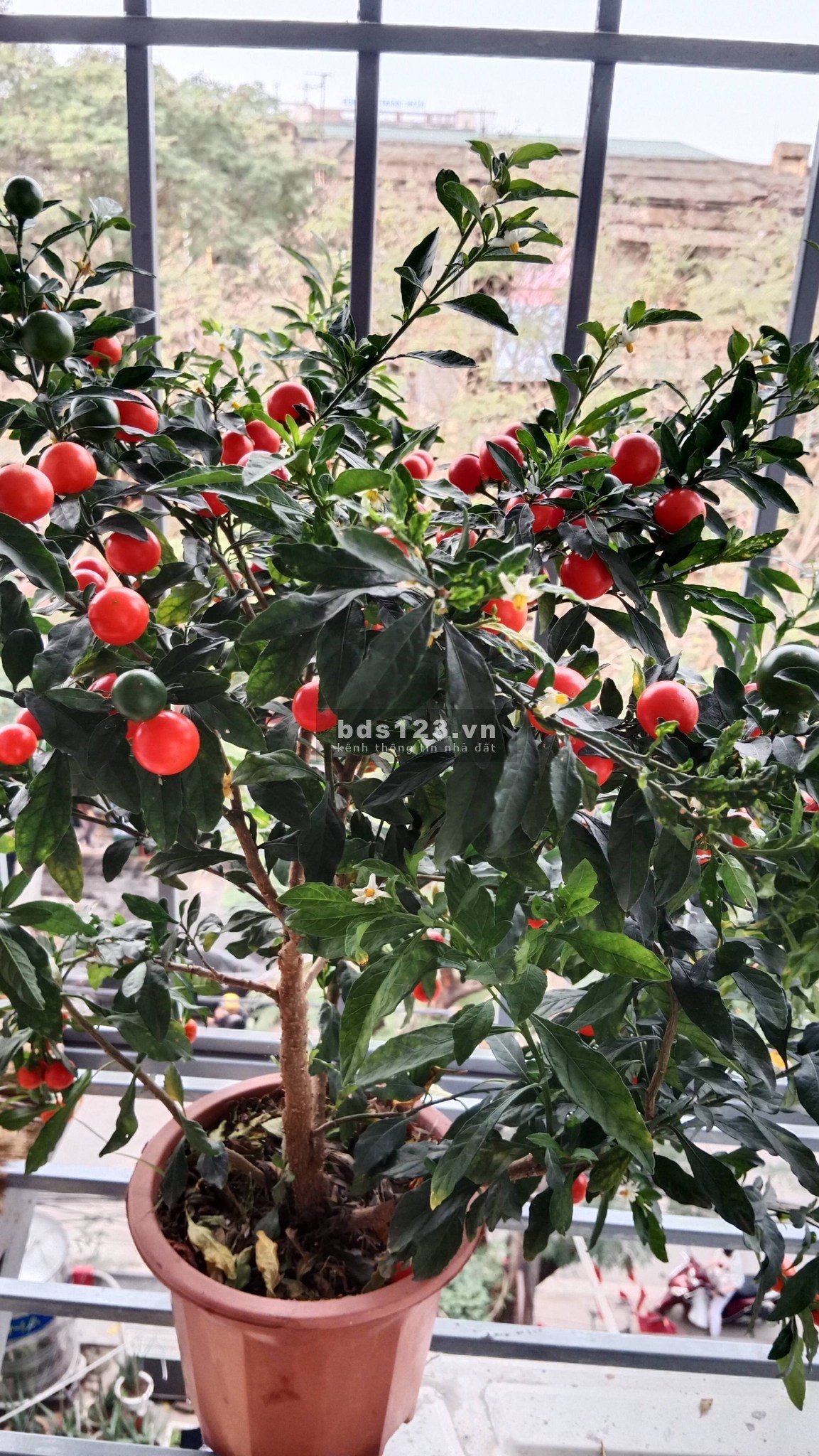 Nhà Đẹp Ngõ Văn Chương, Đống Đa 20m, 5 tầng, giá 5.6 tỷ.