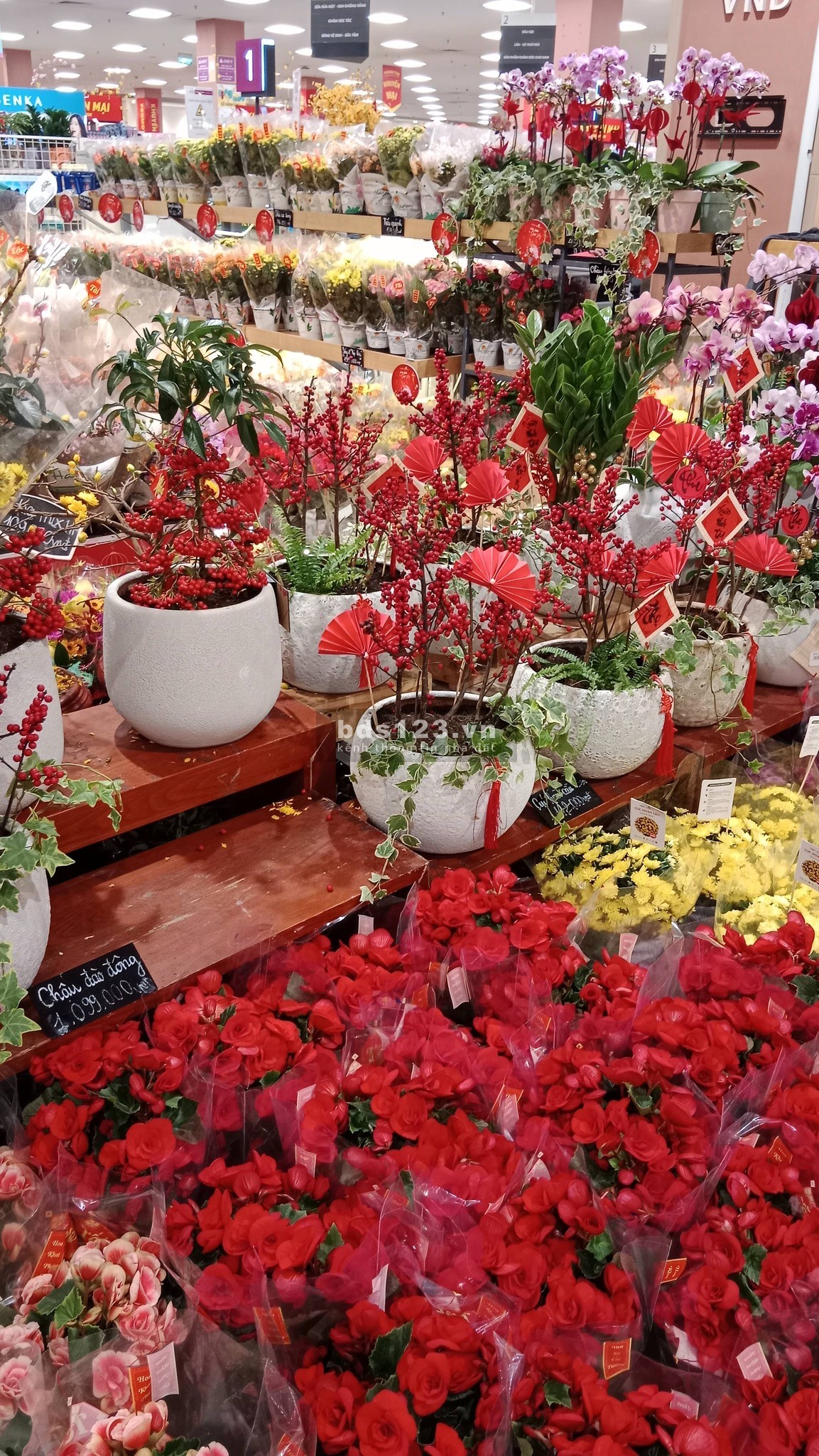 Nhà Đẹp Ở Luôn Hoàng Quốc Việt, Cầu Giấy 65m, giá 3.98 tỷ.