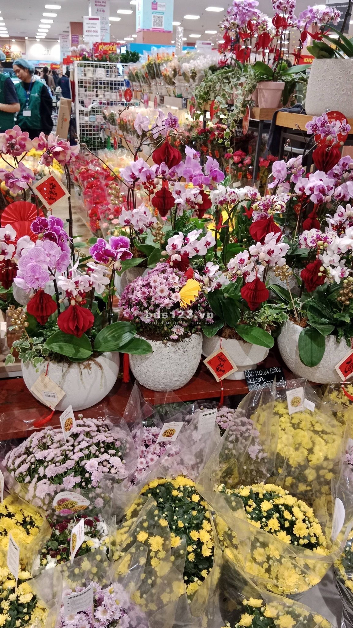 Nhà Đẹp Ở Luôn Hoàng Quốc Việt, Cầu Giấy 65m, giá 3.98 tỷ.