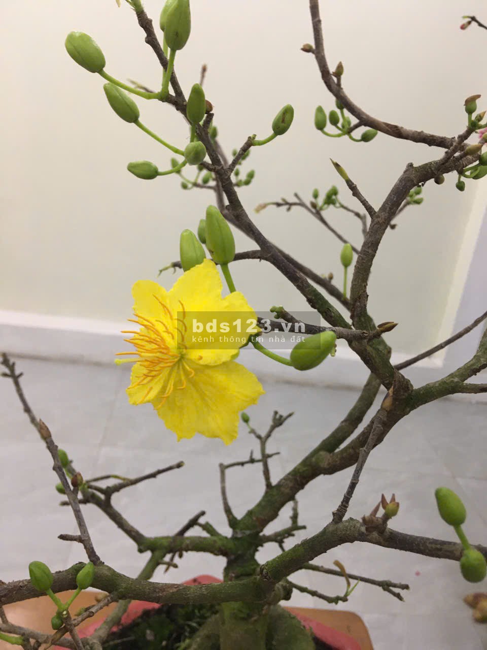 CHÍNH CHỦ bán nhà Yên lộ Hà đông