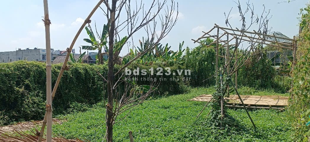 Đất đường ô tô thông, Bình Mỹ, Củ Chi, 10x25m, 990tr