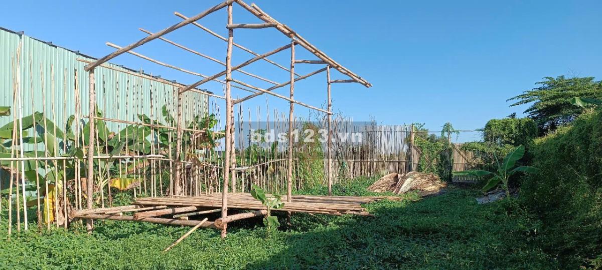 Đất đường ô tô thông, Bình Mỹ, Củ Chi, 10x25m, 990tr