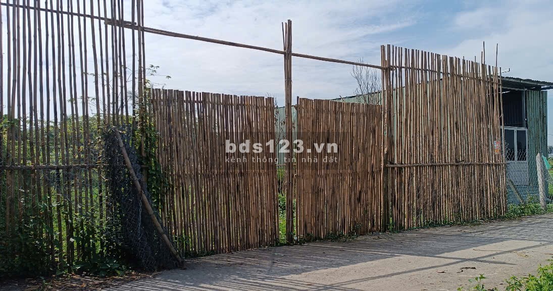 Đất đường ô tô thông, Bình Mỹ, Củ Chi, 10x25m, 990tr