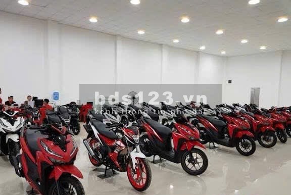 cho thuê nhà nguyên căn hoặc kinh doanh