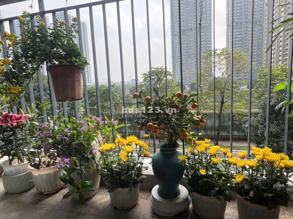 Chính chủ bán 2PN 62m² – SA3 Sakura – Sổ sẵn – 5,5x tỷ